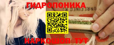 прущие грибы Малоярославец
