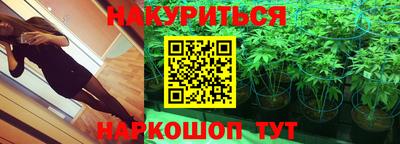 прущие грибы Малоярославец