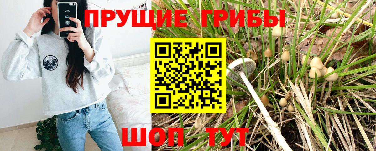 Псилоцибиновые грибы MAGIC MUSHROOMS  дарнет шоп  Вход с VPN  Протвино  Галлюциногенные грибы мухоморы 